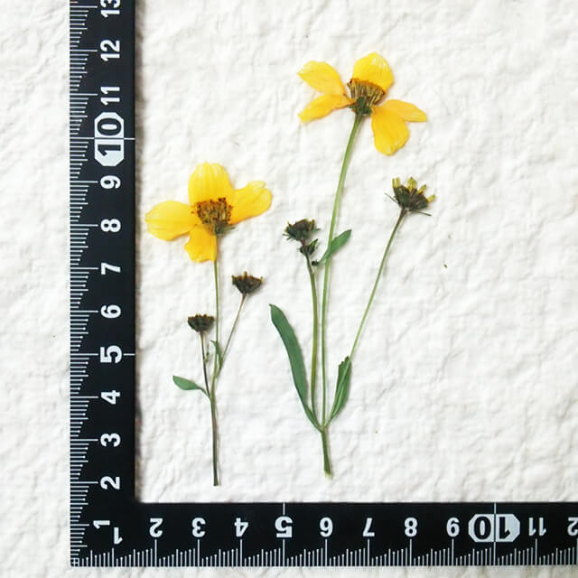 ��S-717�۲����֡��ֺࡡ��ꥪ�ץ��ǡ������ԤĤ�10��ϡ��Хꥦ�ࡢ�쥸�󡢥����ɥ�ʤɤΥϥ�ɥᥤ�ɡ�DIY�Ǻ�ˡ����ͤΤ��ֲ����󤬼��ꤷ�ޤ������¿������ι��Ǻ�Ǥ���