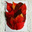 【S-324】ウルシの葉(うるし・漆)虫喰いあり紅葉10枚押し花額やレジンアクセサリー制作などハンドメイド素材として人気です飛騨で手作りしています。国産品の安心品質です!