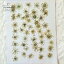 【訳アリ商品・アウトレット】押し花 レースフラワー50枚(F−19)押し花額やレジンアクセサリー制作などハンドメイド素材として人気です飛騨で手作りしています。国産品の安心品質です!