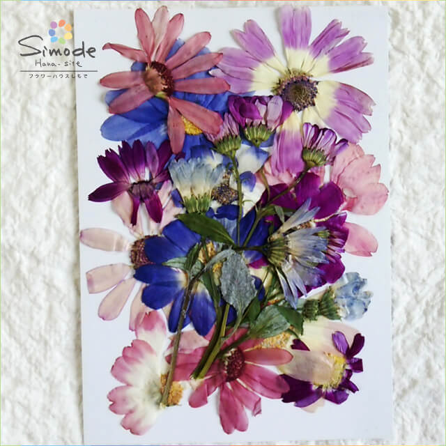 花言葉は 笑顔 花gift 満面の笑みから可愛らしい微笑みまで笑顔のお花たちをご紹介