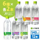 コカ・コーラ社製　い・ろ・は・す 飲みくらべセット 540ml 12本（6種×各2本）北海道内送料無料・メーカー直送・代引不可/いろはす天然水 シャインマスカット もも　みかん　なし　ハスカップ コカコーラ　飲み比べセット