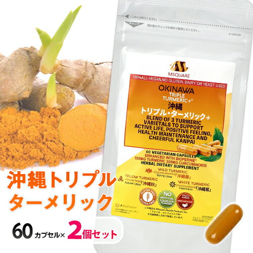 沖縄トリプル ターメリック + パウチタイプ 60カプセル入 2個セット メール便送料無料/Okinawa Triple Turmeric +?　クルクミン　バイオペリンを高配合　サプリメント　植物由来カプセル