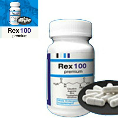  Rex100premium NX100v~A/Tvg j N