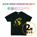 奇跡のココペリTシャツ 2個セット 送料無料/開運 金運 愛情運 幸運 ラッキーアイテム 1