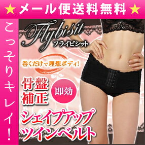 メール便送料無料 フライビシット 骨盤ツインベルト 骨盤補整 /ウエスト/ダイエットインナー 補正下着 美容 健康