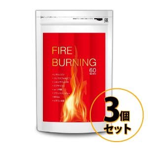 FIRE BURNING 3Zbg [֑/Tvg _CGbg e N  L-Jj`