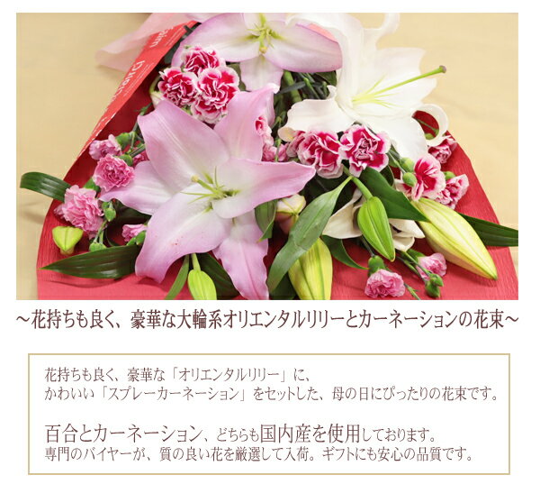母の日 花 花束 ユリ 百合の花束 百合とカーネーションの花束 オリエンタルリリー カーネーション 百合 ユリ ゆり 母の日ギフト