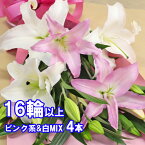 ［母の日 ご予約承り中］百合の花束 4本 16輪以上保証 ピンク＆白MIX 母の日ご予約 お祝 ギフト 大輪系オリエンタルリリー