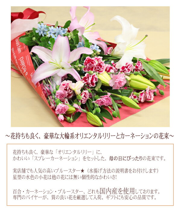 母の日 花 ユリ 百合の花束 花束 百合とカーネーションの大きな花束 オリエンタルリリー カーネーション ブルースター 百合 ユリ ゆり 母の日ギフト