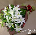 カサブランカの大きな花束高品質のカサブランカをお届けします。