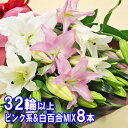 花 花束 ユリ 百合の花束 8本 32輪以上保証 ピンク&白MIX 敬老の日 お祝 ギフト お盆 お供 大輪系オリエンタルリリー ゆり ユリ