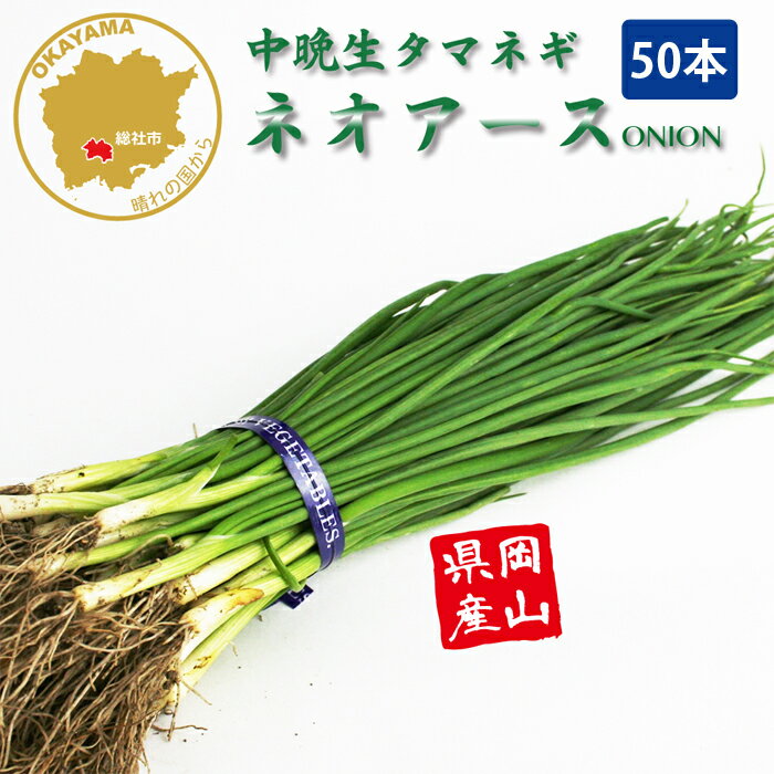 タマネギ ネオアース 中晩生 野菜苗 50本 岡山県産 たまねぎ苗 フラワーブルームの苗 【苗 タマネギ 玉..