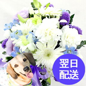 【ペット お供え 花】花持ち抜群！ ペットの お供え ・ お悔やみ 花 命日 の お花 、その他 お供え お悔やみ にピッタリな アレンジメント フラワー ペットの お悔やみ お供え 以外にもご利用可能　Petit プチ 【あす楽15時】【本州一部送料無料】