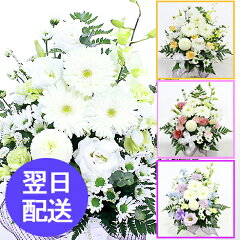 https://thumbnail.image.rakuten.co.jp/@0_mall/flowerfarm/cabinet/02389165/st202108.jpg