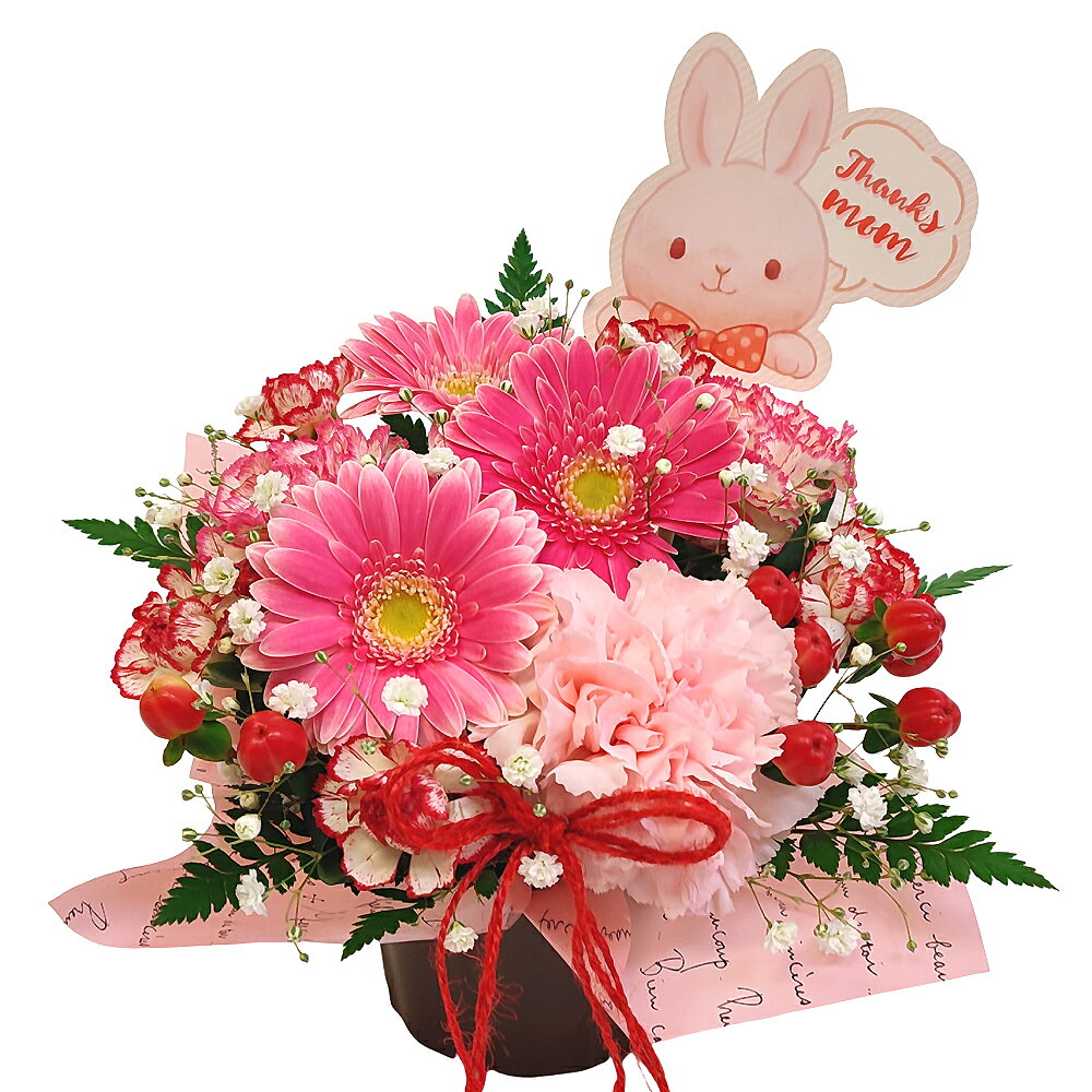 【5/1〜10 お届け】アレンジメント・メルシー【母の日フラワーギフト お届け日限定のお花 生花】