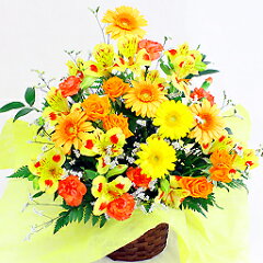https://thumbnail.image.rakuten.co.jp/@0_mall/flowerfarm/cabinet/item-image/r0a_06050.jpg