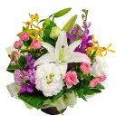 【毎月花材が変わる!月限定のお花 ラン科のお花モカラ ギフト 記念日 誕生日 お祝い】 8月のアレンジ・グランデ(4)