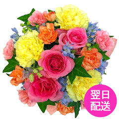 https://thumbnail.image.rakuten.co.jp/@0_mall/flowerfarm/cabinet/omakase/cutie202311.jpg