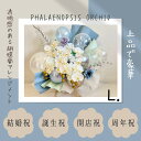 胡蝶蘭 花 開店祝 開業祝 周年祝 誕生祝 結婚祝 バルーンアレンジ 卓上 プレゼント アーティシャルフラワー 祝い花 透明バルーン フラワーギフト 電報 ウェディング 送料無料 オシャレ メッセージカード付き 華やか 贈り物 PAPILLON BALLOON