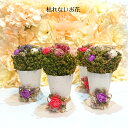 枯れない花 ドライフラワー&プリザーブドフラワー&アーティフィシャルフラワー 造花 お花の置物 誕プレ お花の花瓶 ギフト お礼 プレゼント