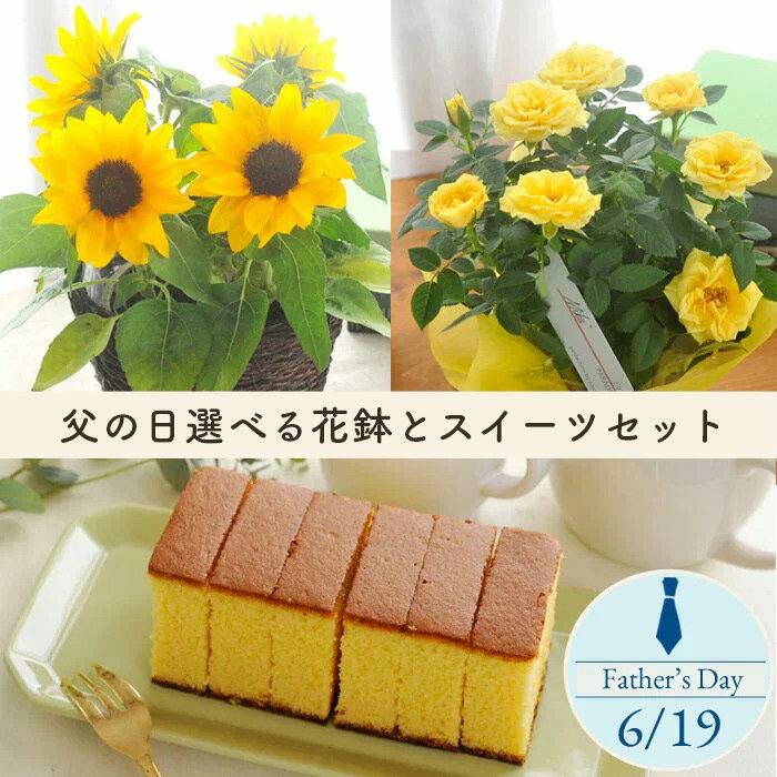 選べる花鉢&カステラセット
