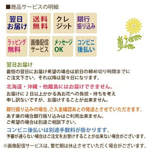 サービス