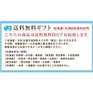 自由が丘から贈る【送料無料】オリーブ・アガベポット