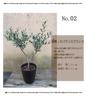一点もの02