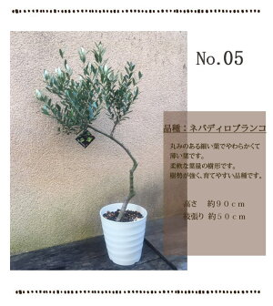 一点もの05