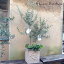 『オリーブ2品種植え×アンティコスクエア』画像現物お届け オリーブ Olive【一点もの】実の付きやすい2品種植え 【ヤマト便でお届け】 【オリーブ】オリーブの木【RCP】ギフト ★ 観葉植物/苗木/鉢植え/販売/誕生日/開店/引越/祝/新築祝い/FKTK/