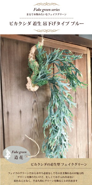 『フェイクビカクシダ着生ブルー』【造花】【多肉植物】【人工観葉】【送料無料】フェイク寄せ植え★ギフト★観葉植物【楽ギフ_包装】誕生日/引越/祝い/新築祝い【あす楽_日曜営業】寄せ植え/インテリア/フェイク多肉植物/FKTK/