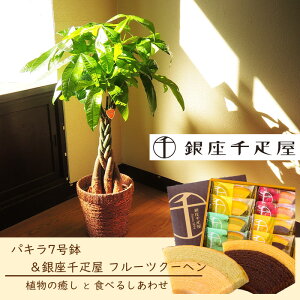 楽天市場 観葉植物とスイーツのセット あす楽 パキラ7号鉢 銀座千疋屋フルーツクーヘン 全国送料無料 観葉植物 パキラ 千疋屋 バームクーヘン 育てやすい 鉢植え御祝 開店祝 新築祝 引っ越し祝い 結婚祝 新生活 インテリア 大型 ギフト Fktk 楽天市場 観葉植物とスイーツのセット あす楽 パキラ7号鉢 銀座千疋屋フルーツクーヘン 全国送料無料 観葉植物 パキラ 千疋屋 バームクーヘン 育てやすい 鉢植え御祝 開店祝 新築祝 引っ越し祝い 結婚祝 新生活 インテリア 大型 ギフト Fktk