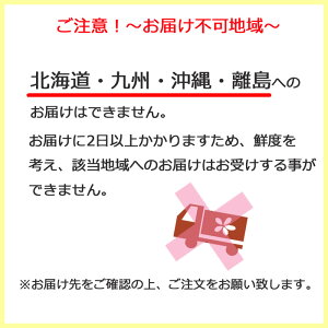 注意(お届け不可地域)