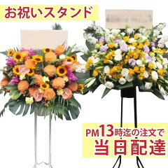 https://thumbnail.image.rakuten.co.jp/@0_mall/flowerkitchen/cabinet/pr/03174546/st01.jpg