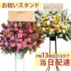 https://thumbnail.image.rakuten.co.jp/@0_mall/flowerkitchen/cabinet/pr/03174546/st02.jpg