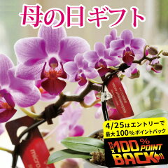 https://thumbnail.image.rakuten.co.jp/@0_mall/flowerkitchen/cabinet/pr/03322023/mcc01d-p25.jpg