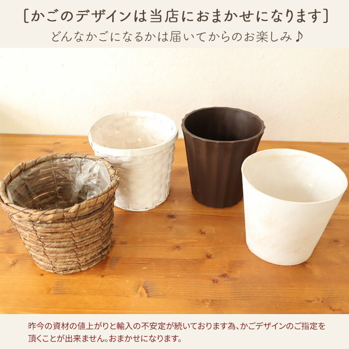 かごについて