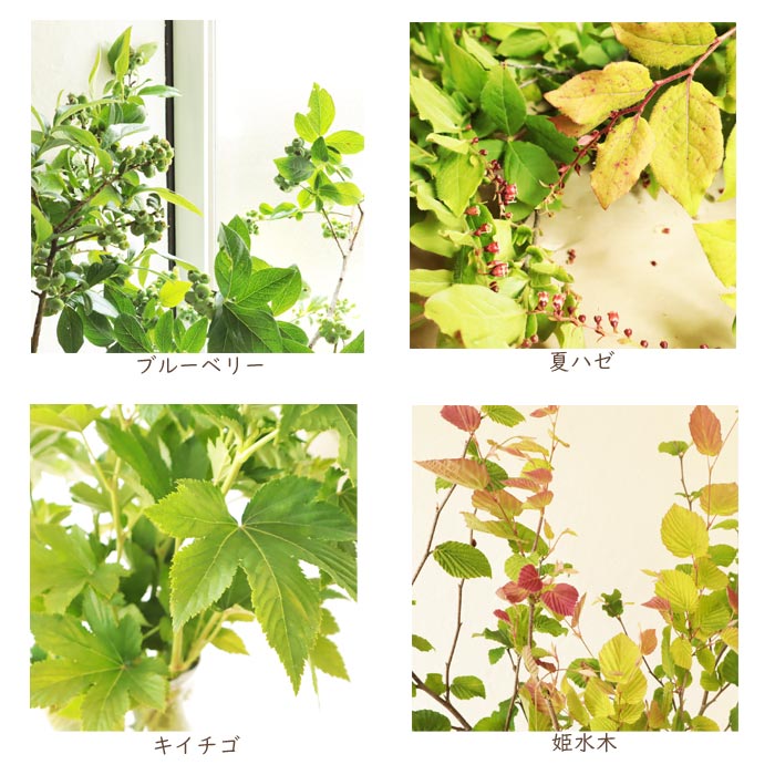 4種
