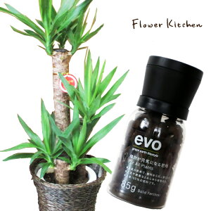 ʴաˡڿʪΥåȡۡ å 7ȭ + evo ʪˤʤ 85g  å ǯ evo տʪ ͭ  ܺ ץ쥼 FKTK