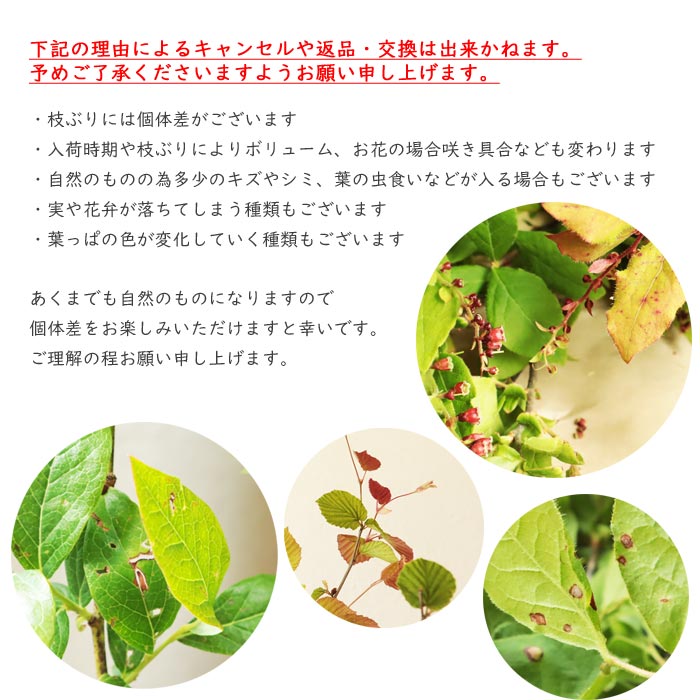 注意
