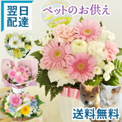 https://thumbnail.image.rakuten.co.jp/@0_mall/flowerkitchen/cabinet/pr/07347965/osonaepet-18a.jpg