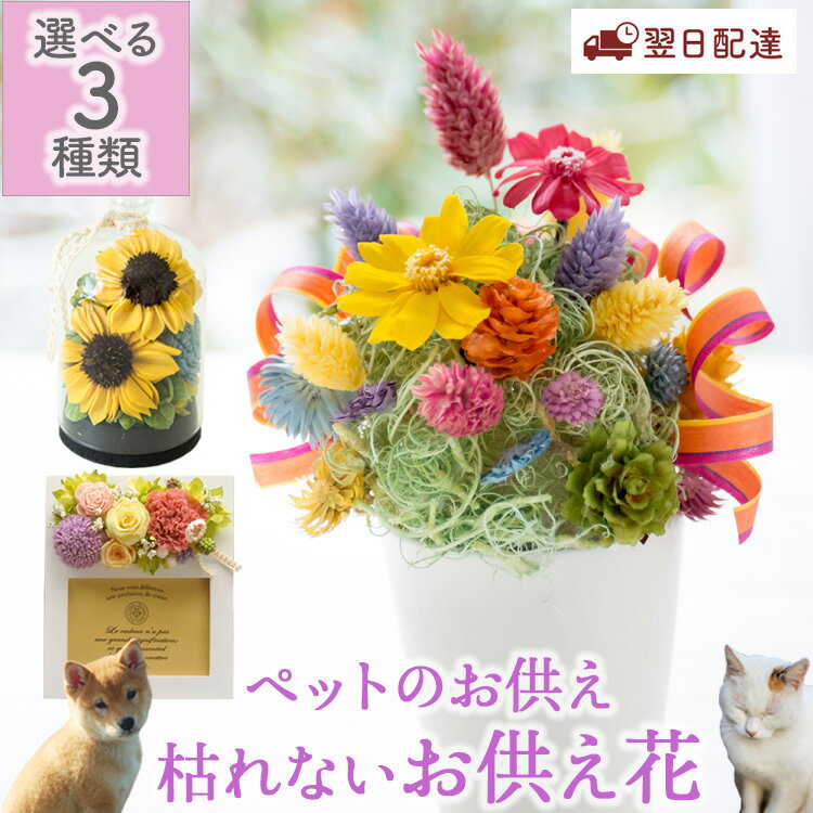 Rakuten - お供え ペット 花 お悔やみ 選べる 枯れないお供え花 ペットのお供え ペット供養 フラワー ギフト プリザーブドフラワー フォトフレーム 枯れない花 仏壇用 命日 49日 ギフト 3000円 ペットロス 供花 お盆 お彼岸 FKTPO