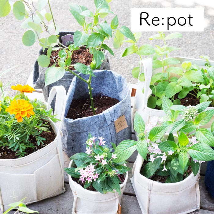 Re:pot リポット 980-006 鉢カバー SDGs エコ サステナブル eco　（雑貨） FKTS【コンパクト便】【送料無料】 布 プランター リサイクル 植木鉢 収納 バッグ 園芸用品 家庭菜園 不織布製 インテリア ガーデンバック ガーデニング
