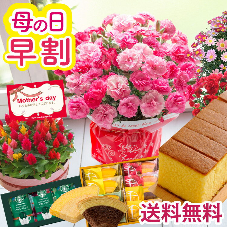 【ポイント5倍】クーポン有 ＼早割実施中／ 母の日 カーネーション プレゼント 花 選べる花鉢 花とスイーツ ギフト 鉢植え 生花 5号 花ギフト スイーツセット 花とお菓子 カステラ 銀座千疋屋 スターバックス 60代 70代 ははの日 2026 FKHH 母の日 フラワーキッチン自由が丘