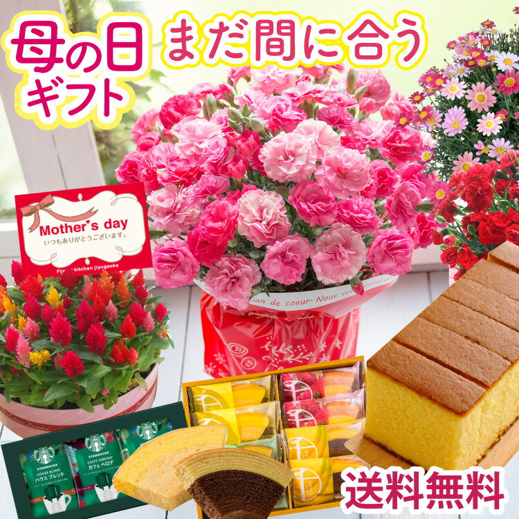 ＼5/1にお値段上がります！／ 母の日 カーネーション プレゼント 花 選べる花鉢 花とスイーツ ギ ...