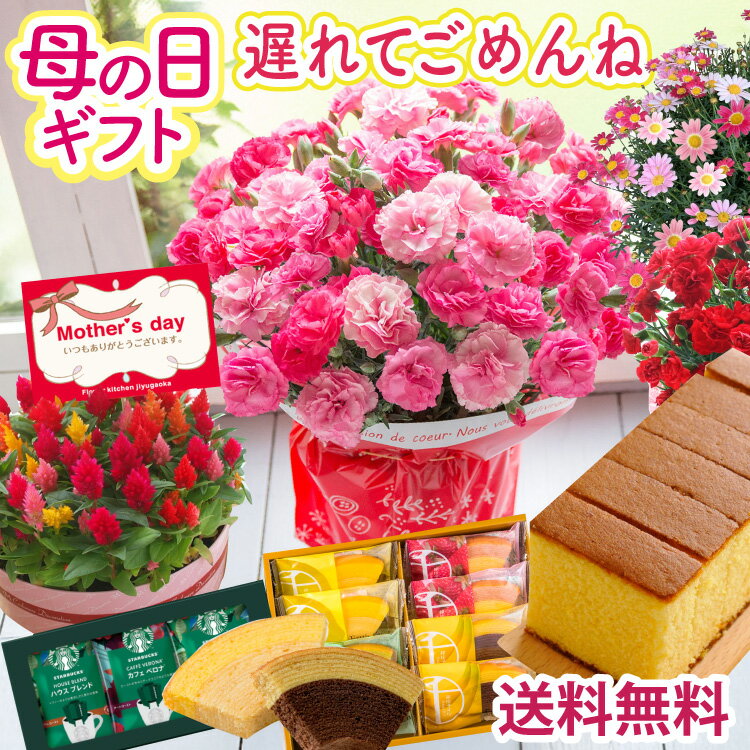 遅れてごめんね！ 母の日 カーネーション プレゼント