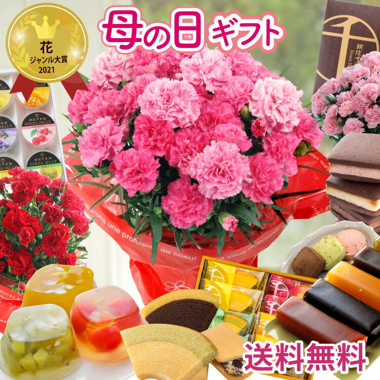 母の日 プレゼント 花 選べる千疋屋スイーツと カーネーション 花とスイーツ ギフト 鉢植え 生花 5号 スイーツセット 花とお菓子 銀座千疋屋 洋菓子 スイーツ 60代 70代 ははの日 2026 FKHH 母の日 フラワーキッチン自由が丘