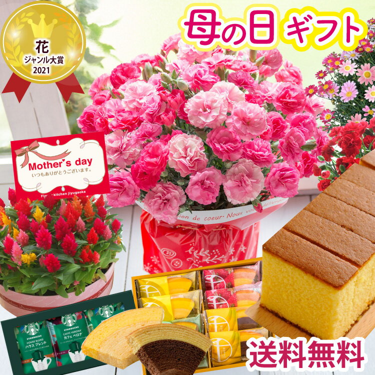母の日 カーネーション プレゼント 