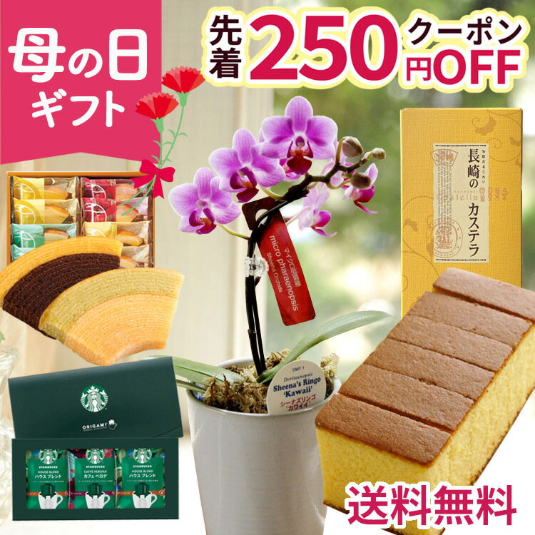 花言葉は幸福が飛んでくる♪マイクロ胡蝶蘭