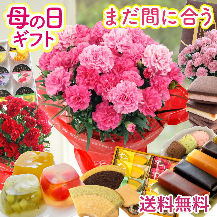 まだ間に合う 母の日 プレゼント 花 選べる千疋屋スイーツと カーネーション 花とスイーツ ギフト  ...